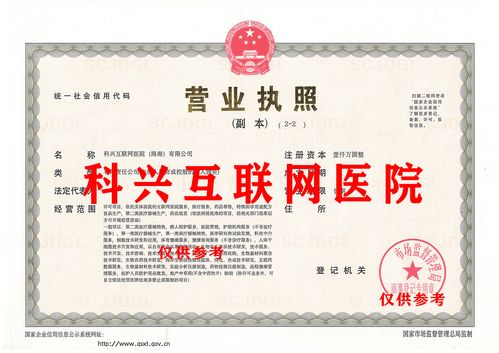 政策驅動與技術賦能 海南互聯網醫(yī)院的廣闊前景